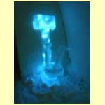 DSCN4706.JPG